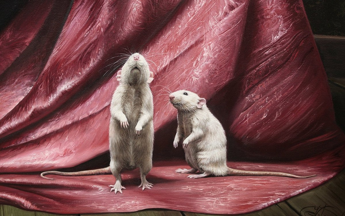 Обои с крысами