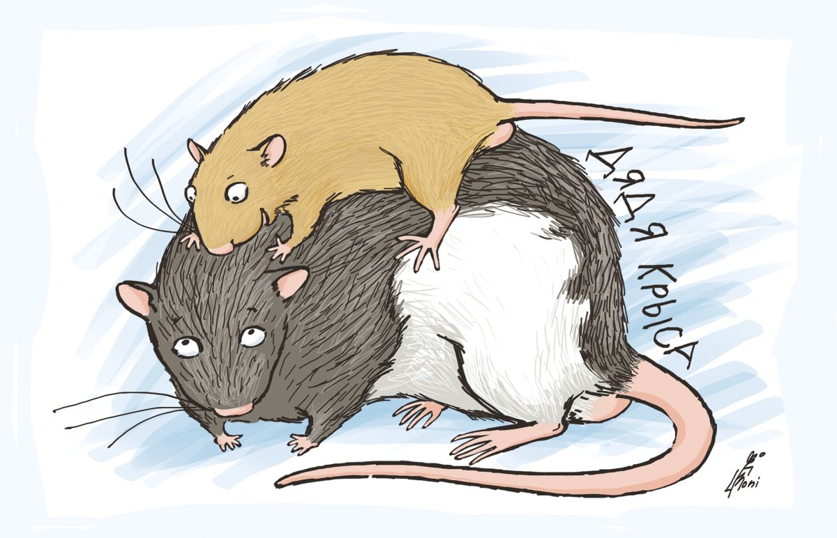 Рисуночек крысы