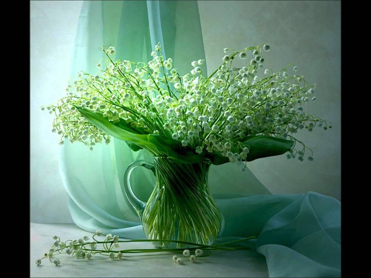 Голландский Ландыш