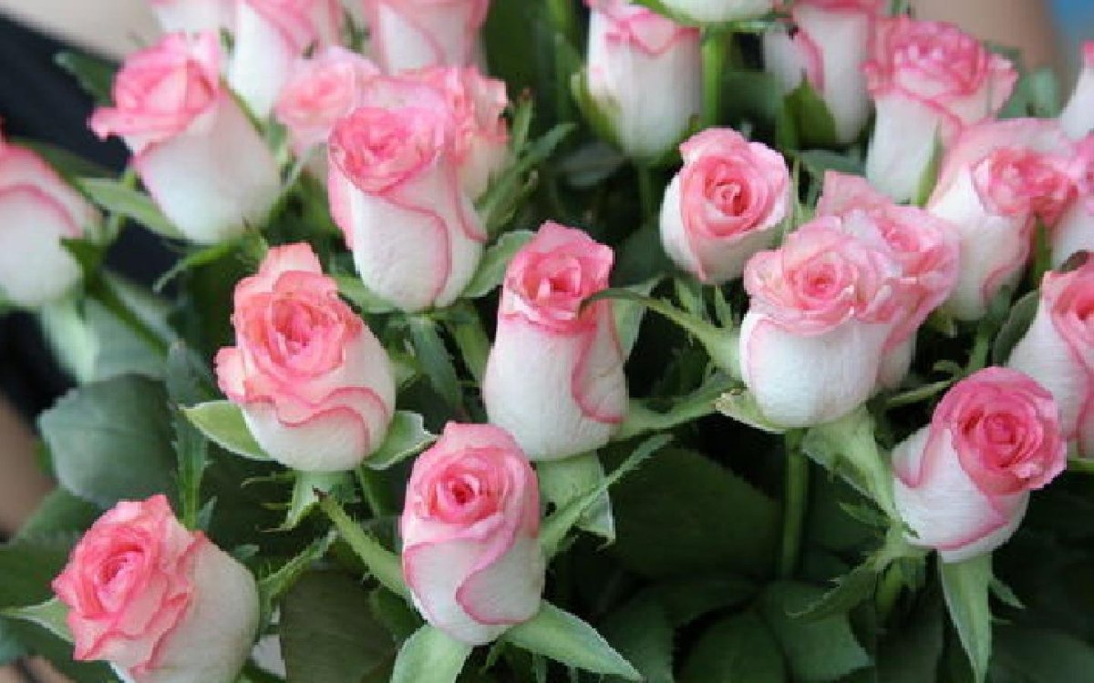 С днём рождения родная