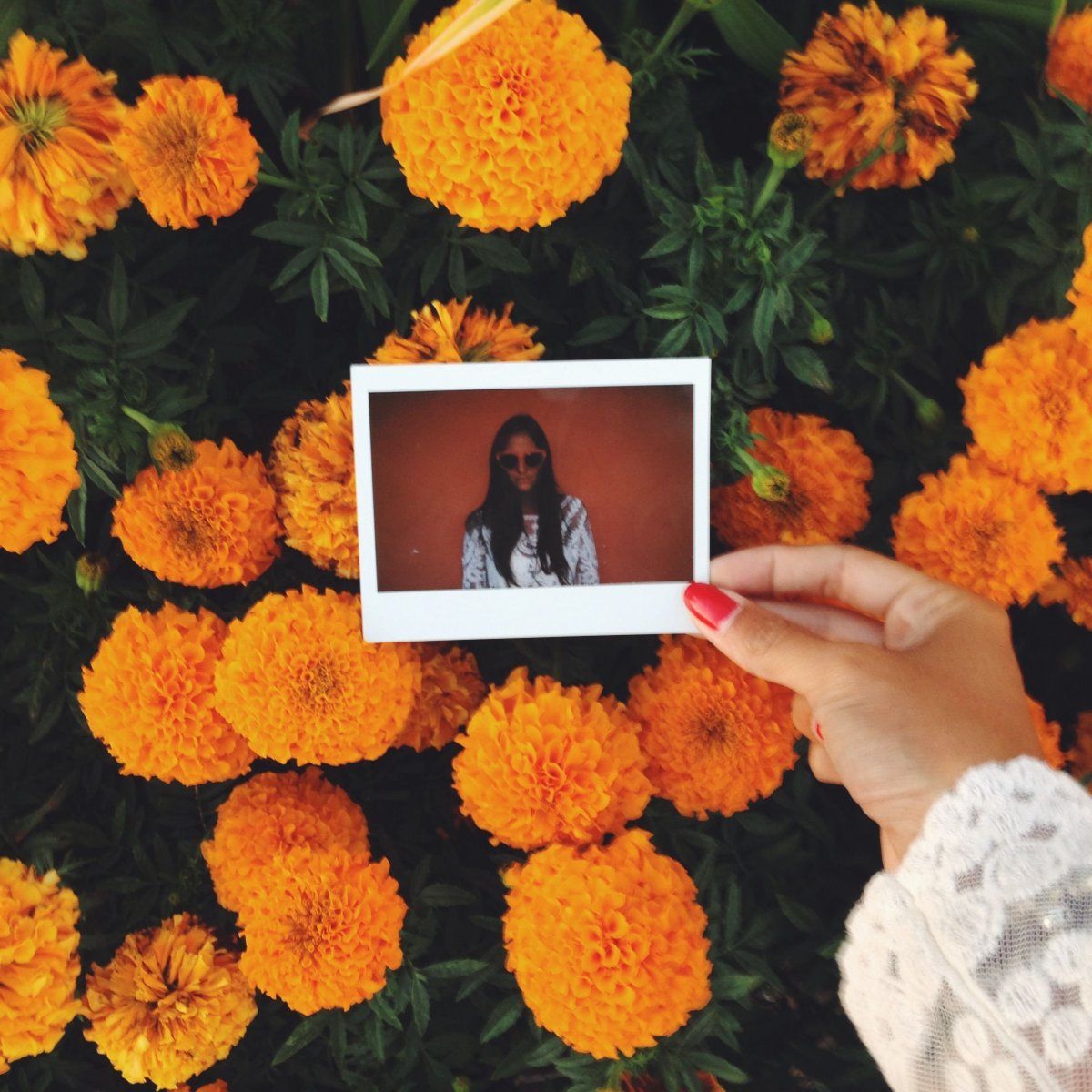 Оранжевый цвет для инстаграмма