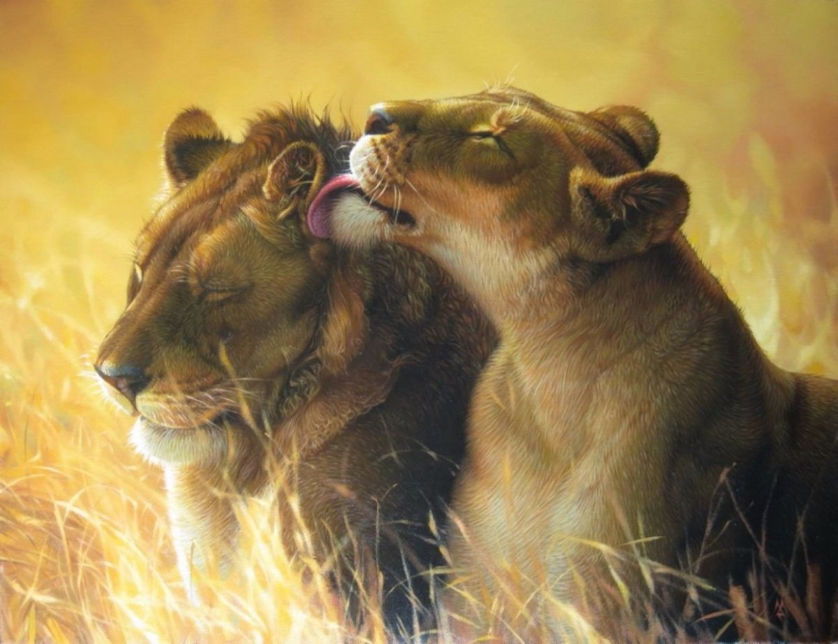 Животные любовь картины