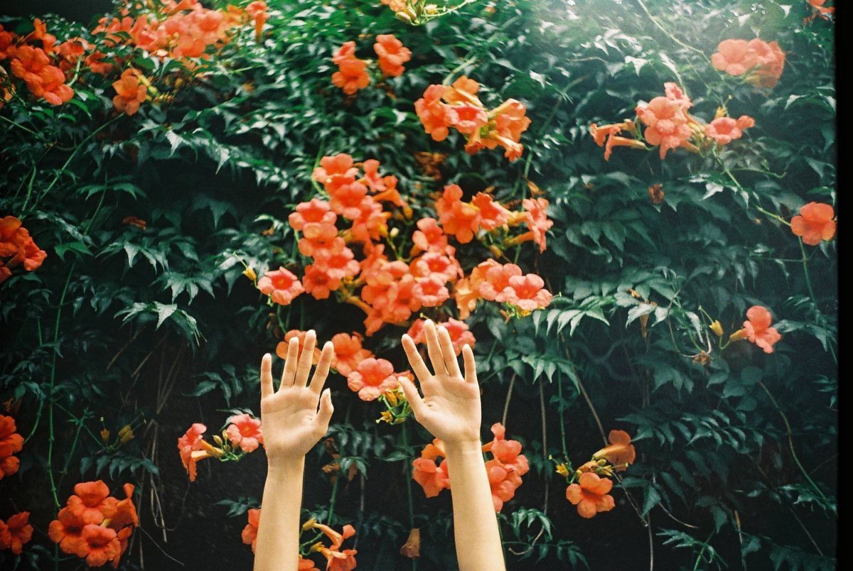 Картинки Эстетика