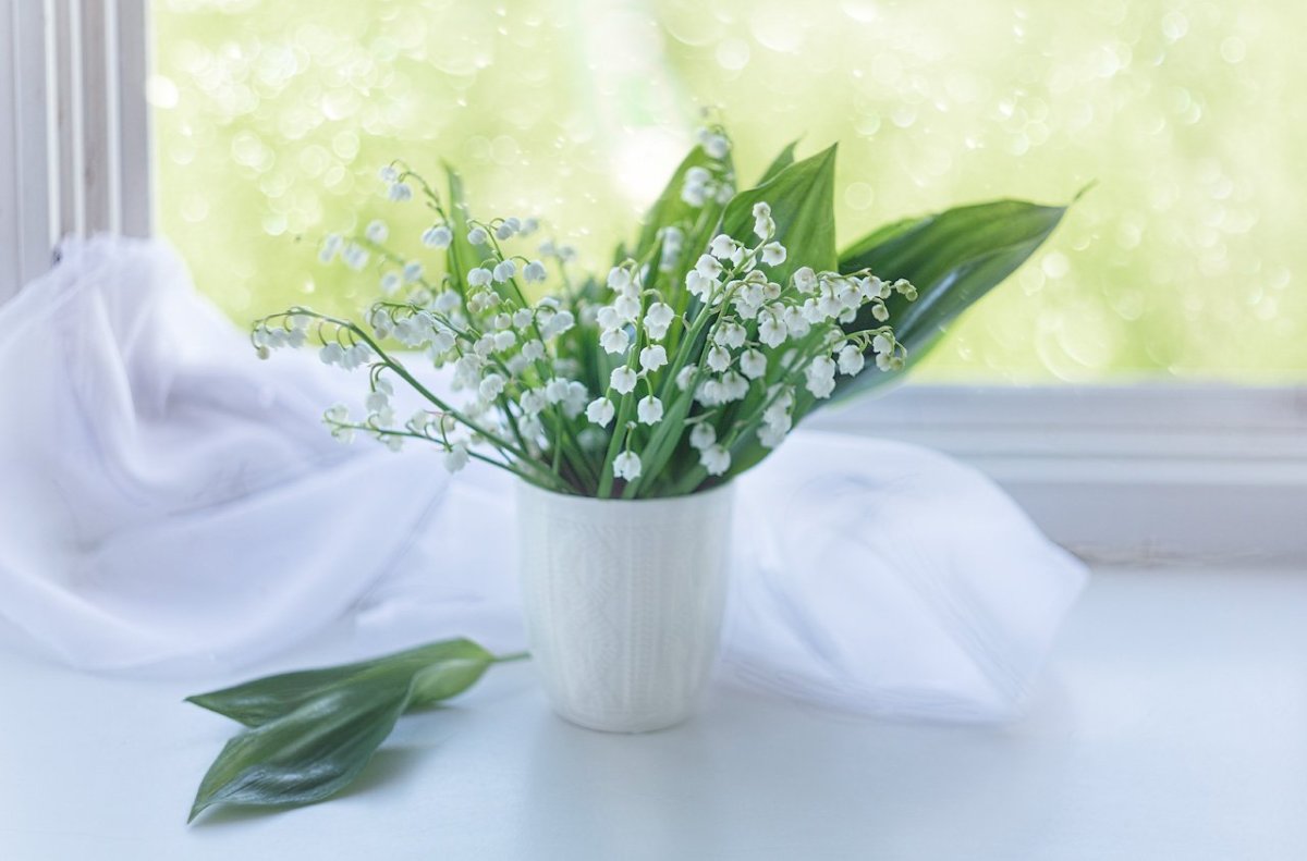 Доброе утро Ландыши с пожеланием