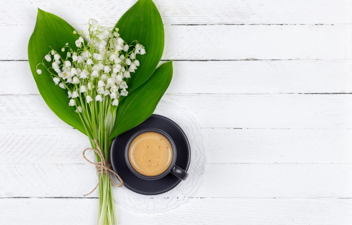 Весеннее утро