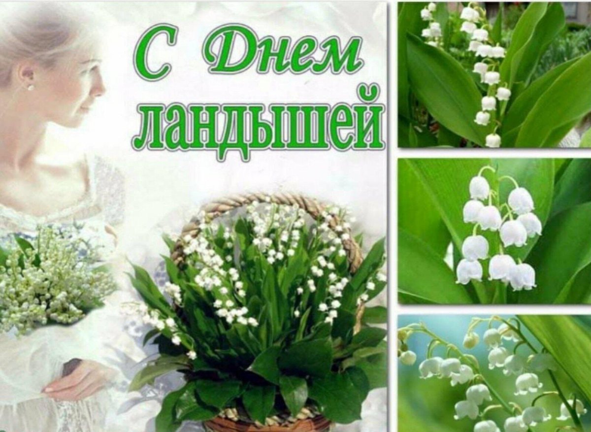 Ромашки и Ландыши