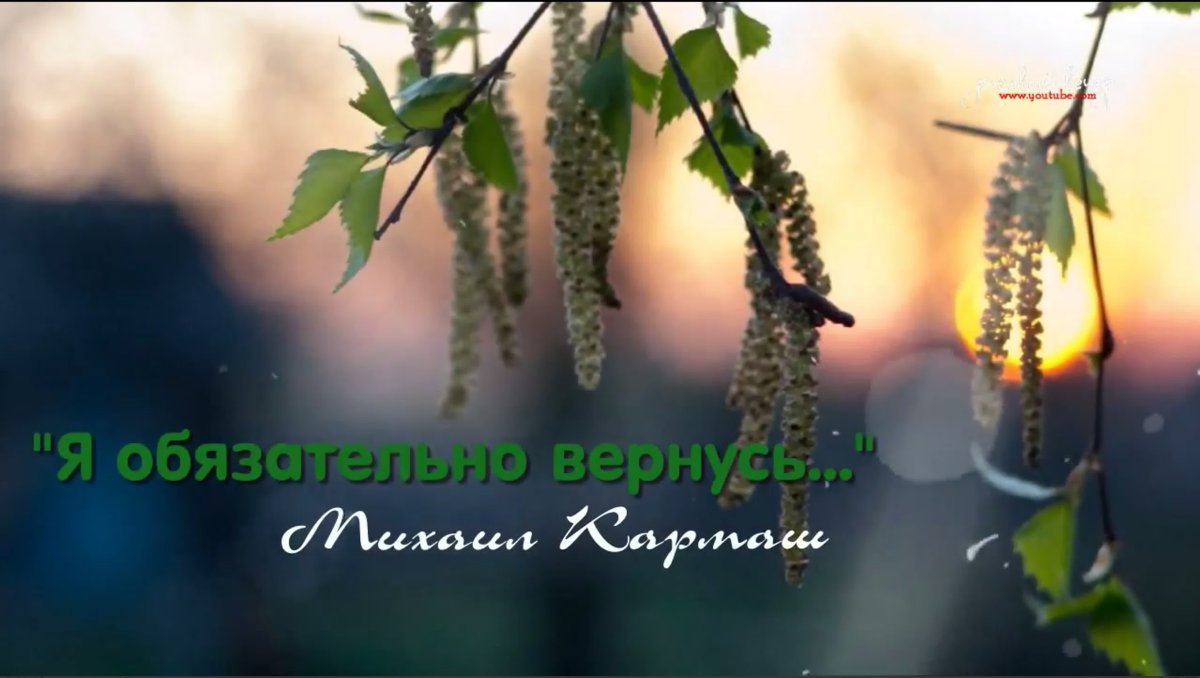 Береза соцветие Сережка