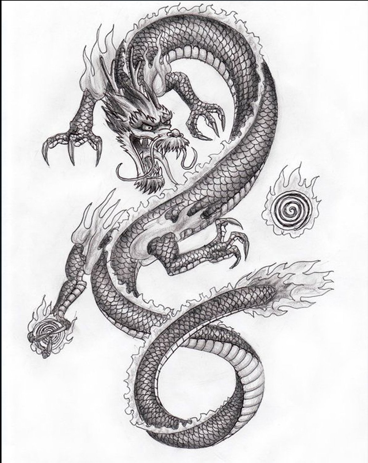 Китайский дракон эскиз