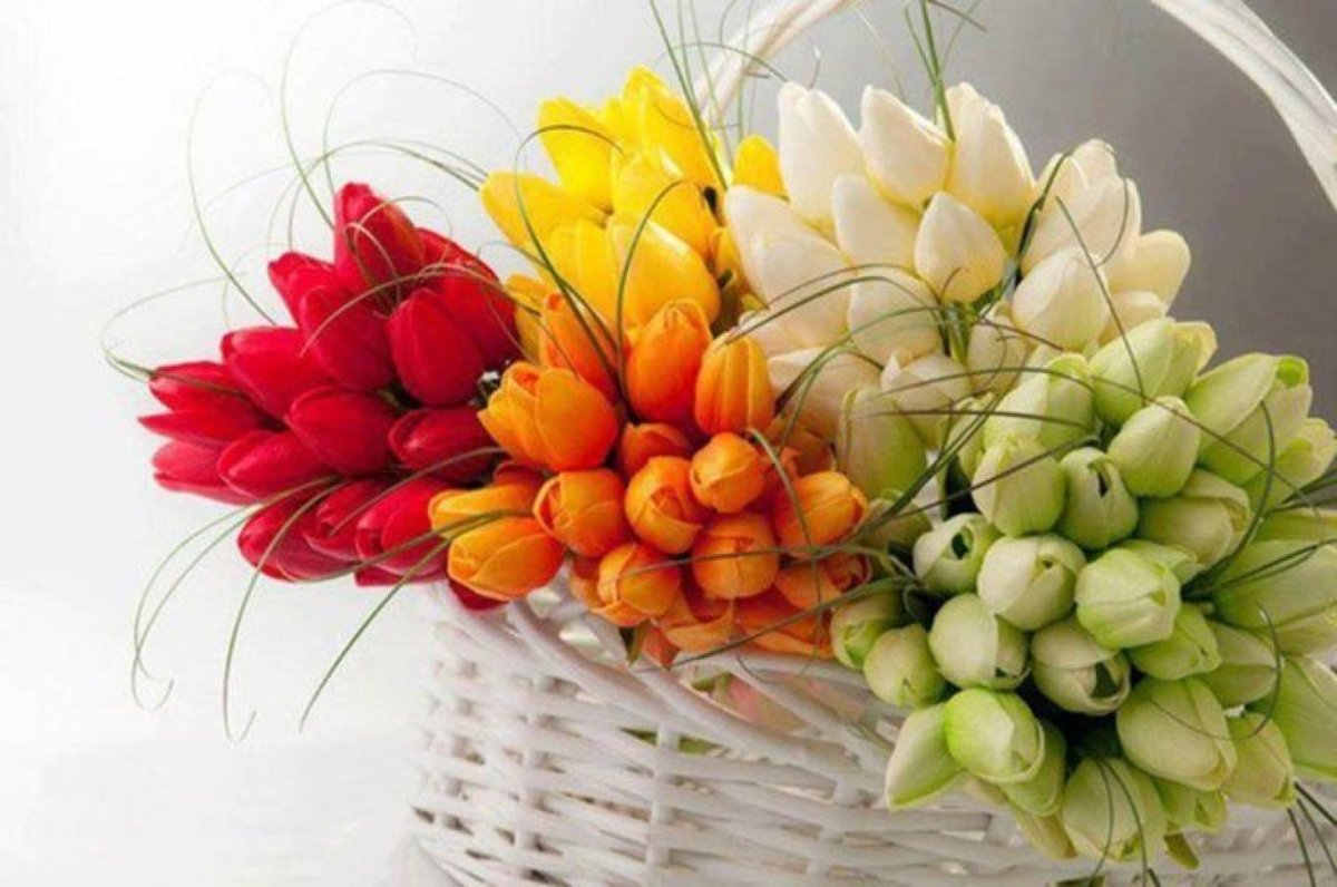 Букет тюльпанов с пожеланиями