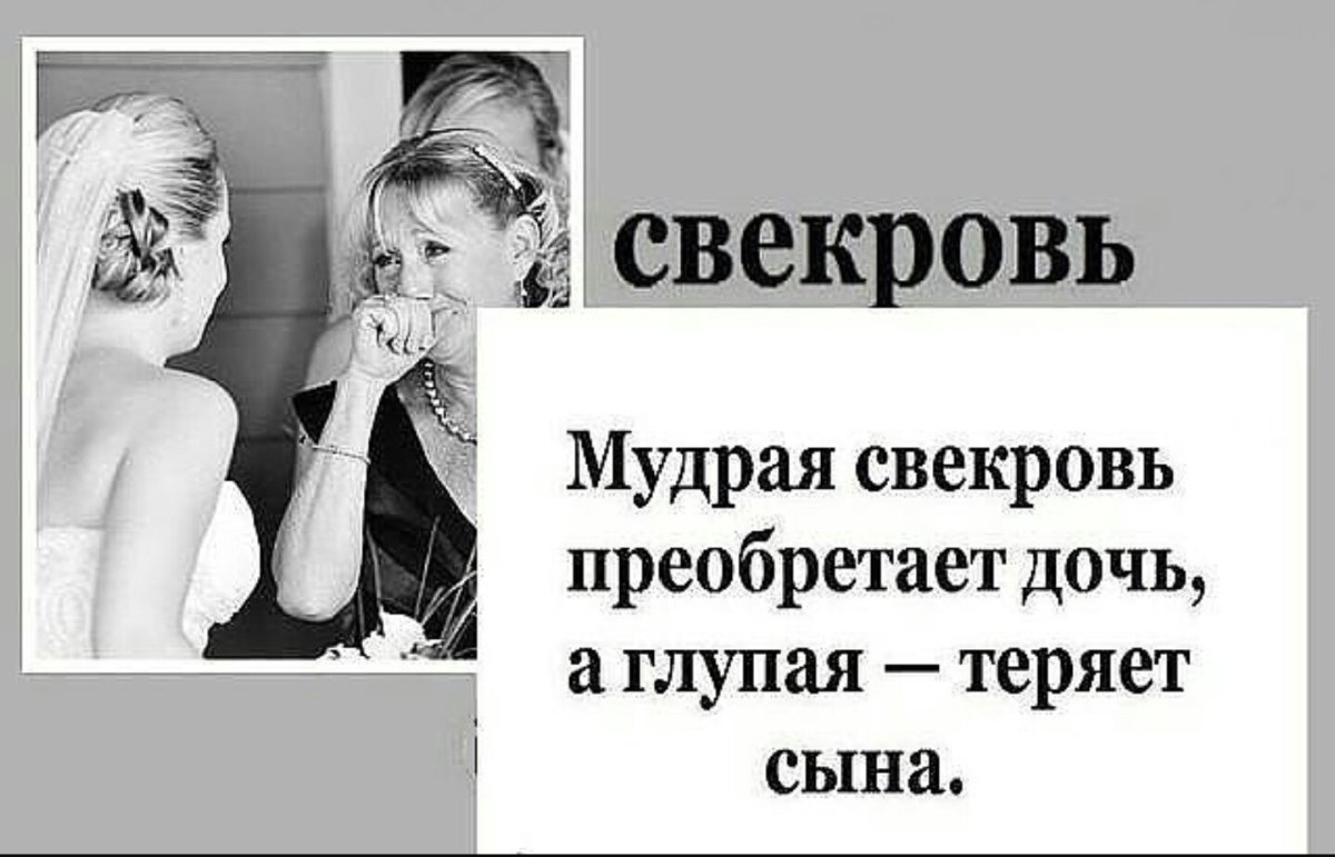 Афоризмы про свекровь