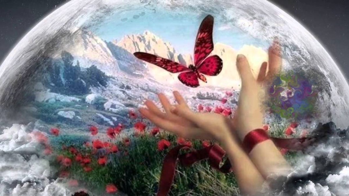 Мы гости на этой земле