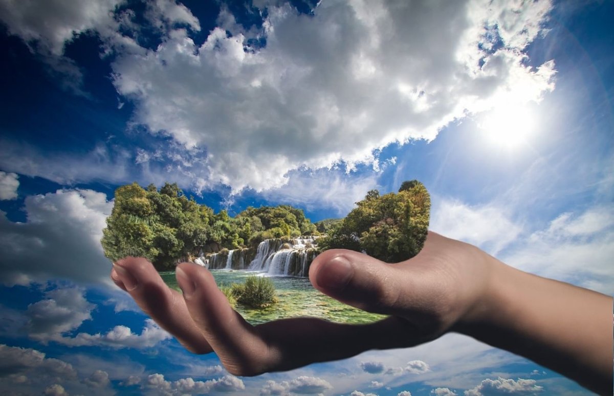 Природа в руках