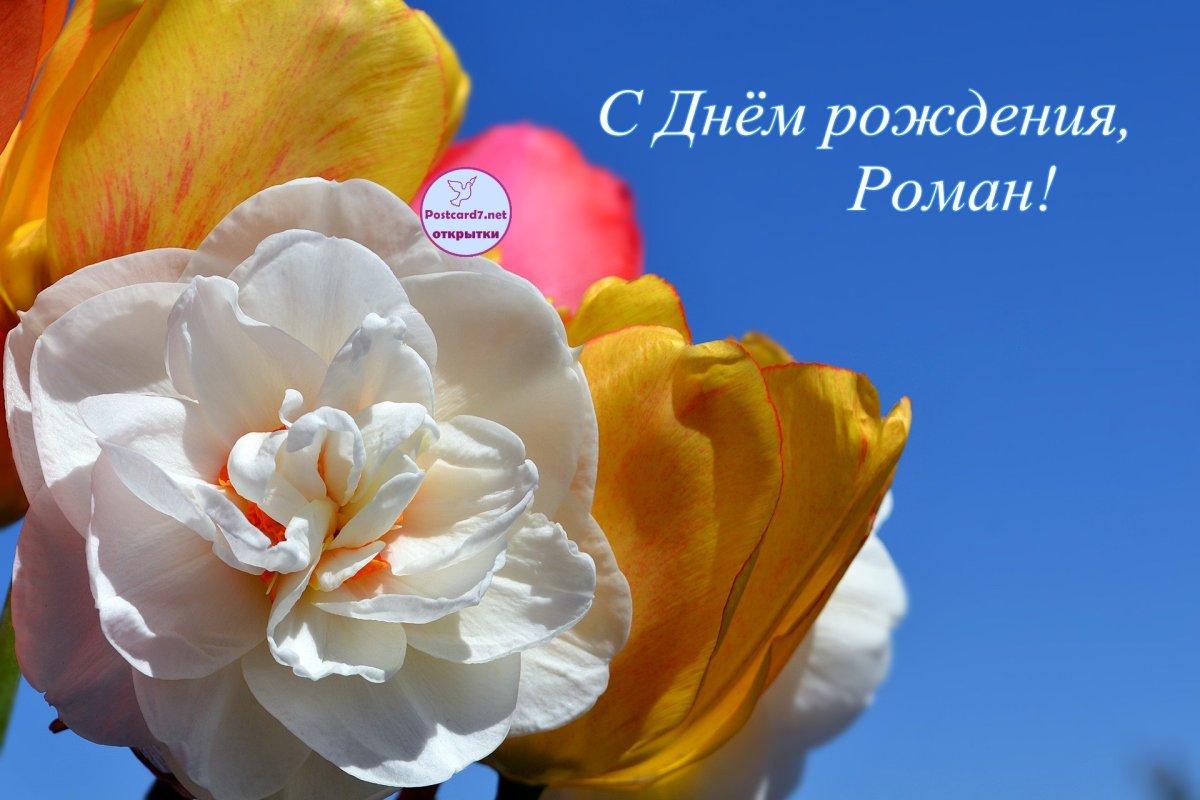Поздравления с днём рождения роману