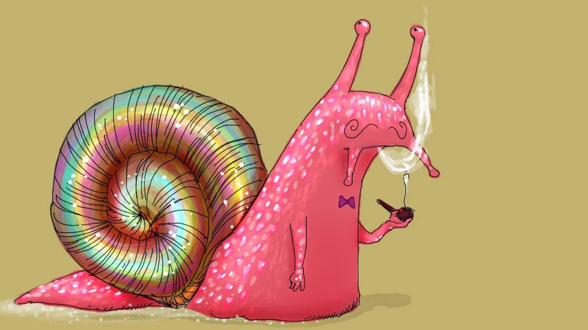 Милые улитки