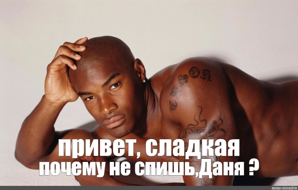 Чихуахуа мини злая