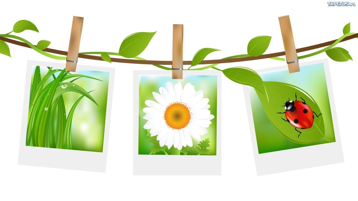 Безопасность в природе для дошкольников