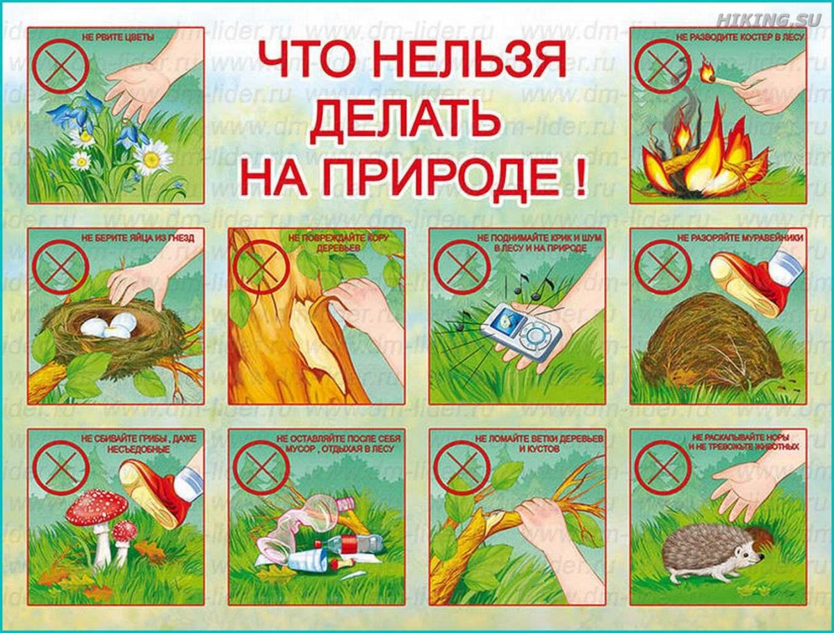 Земля экология для детей