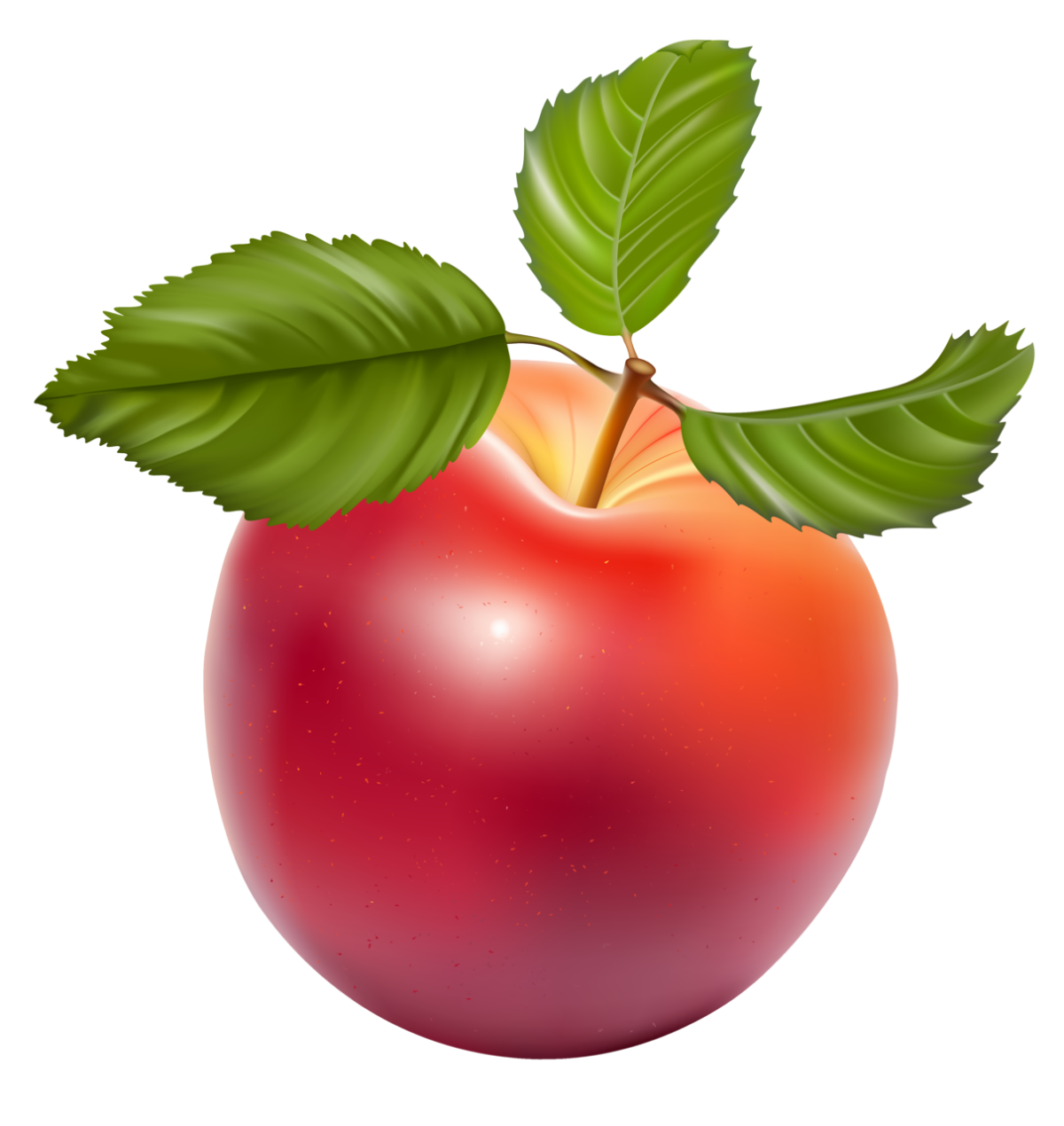 Яблоко для детского сада