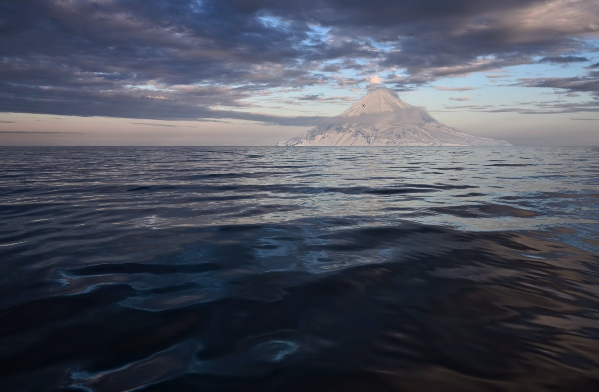 Открытый океан