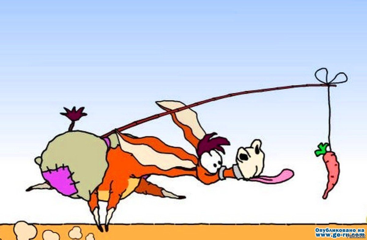 Ослик бежит за морковкой