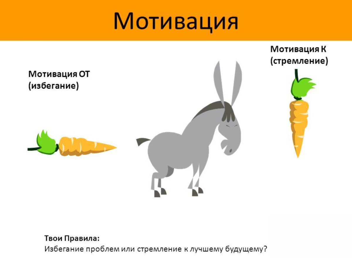 Осел карикатура