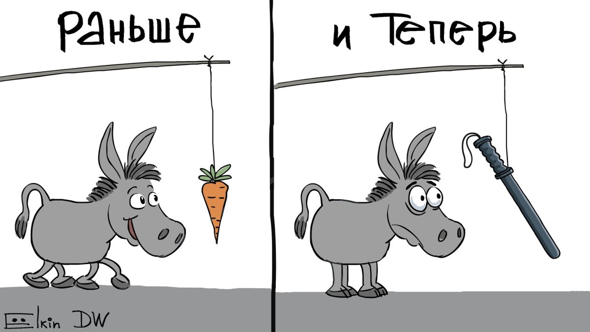 Осел за морковкой