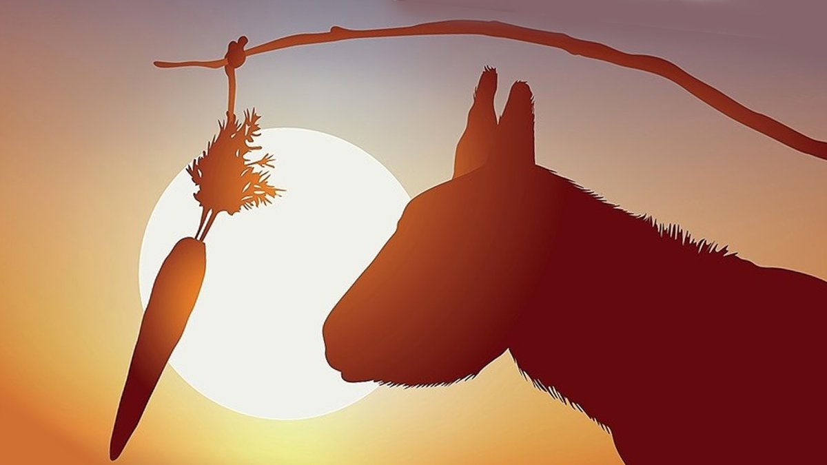 Ослик и морковка