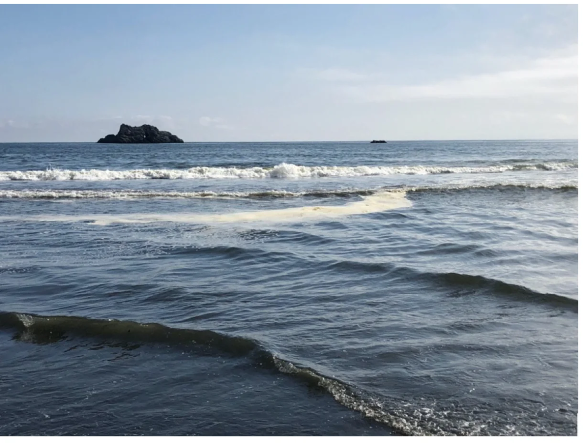 Ледовитый океан шторм