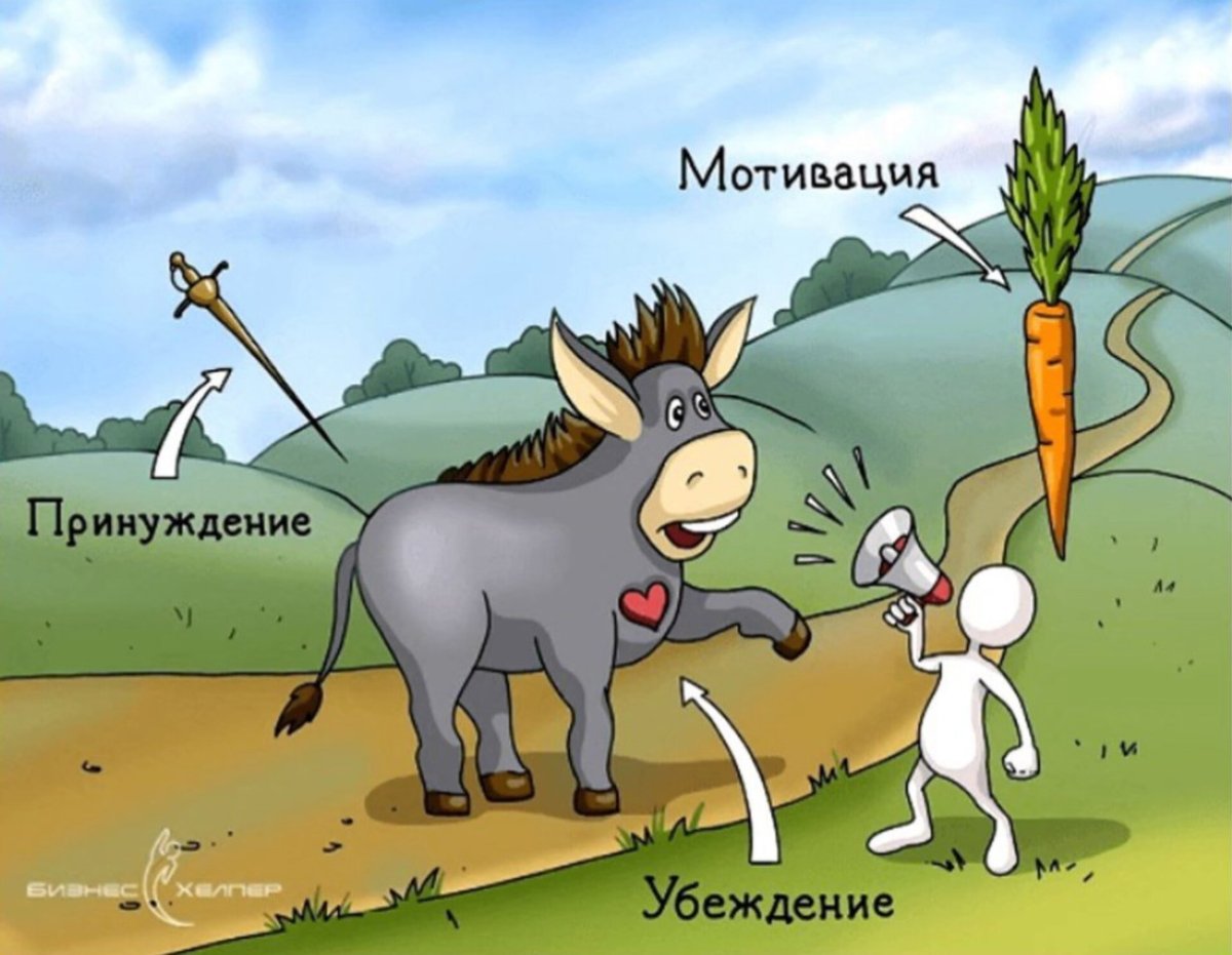 Ослик и морковка