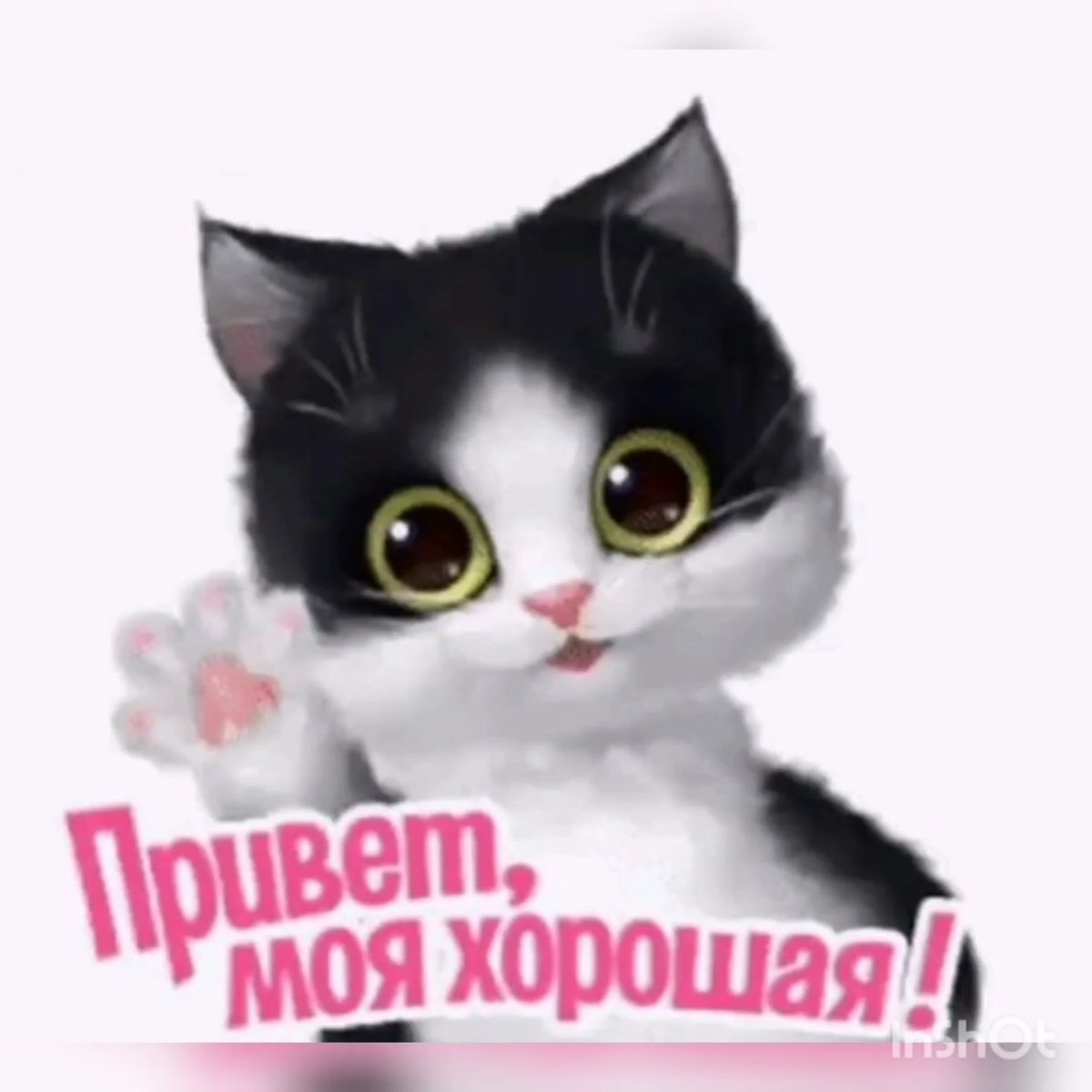 Привет сестренка