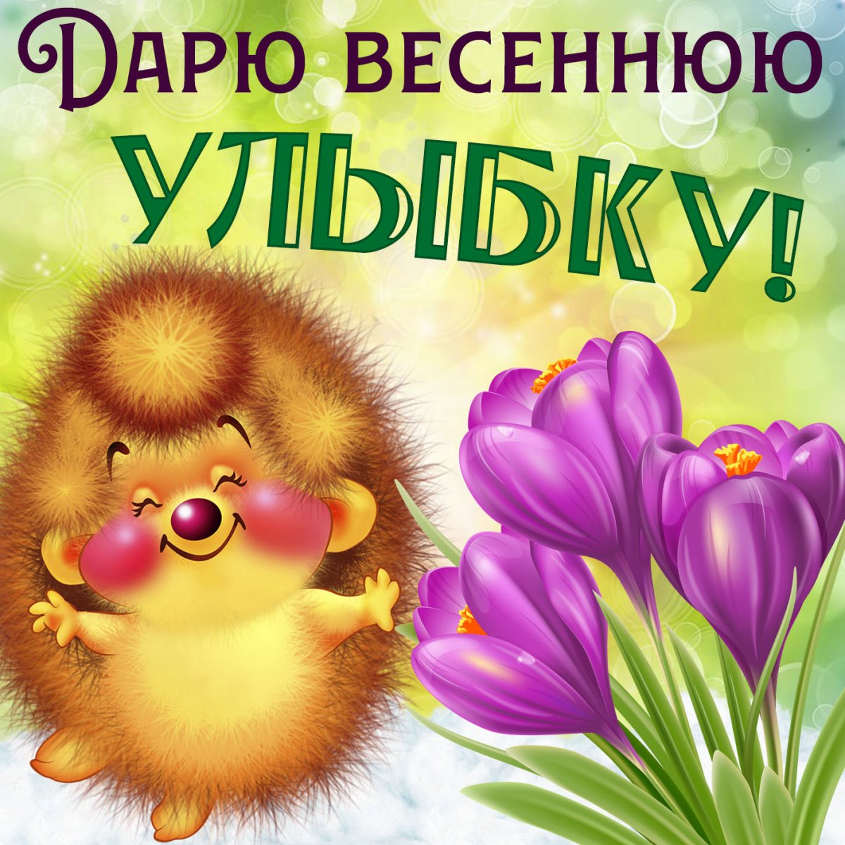 Привет хорошего дня