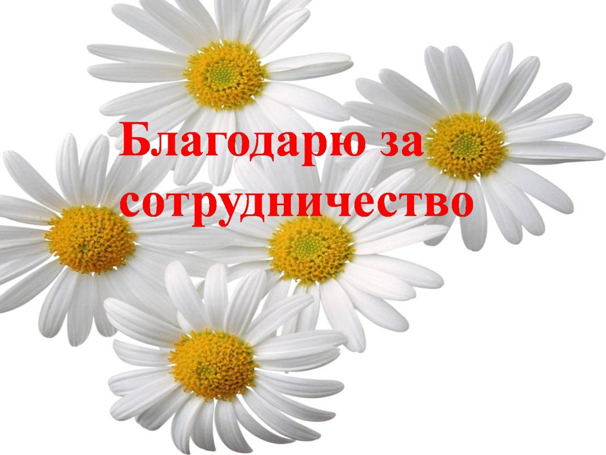 Спасибо за сотрудничество