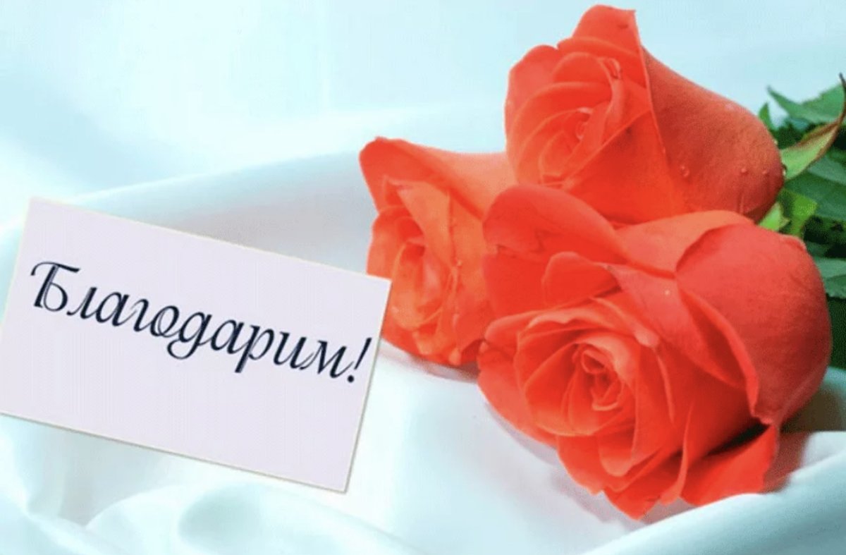 Открытки со словами восхищения бесплатно