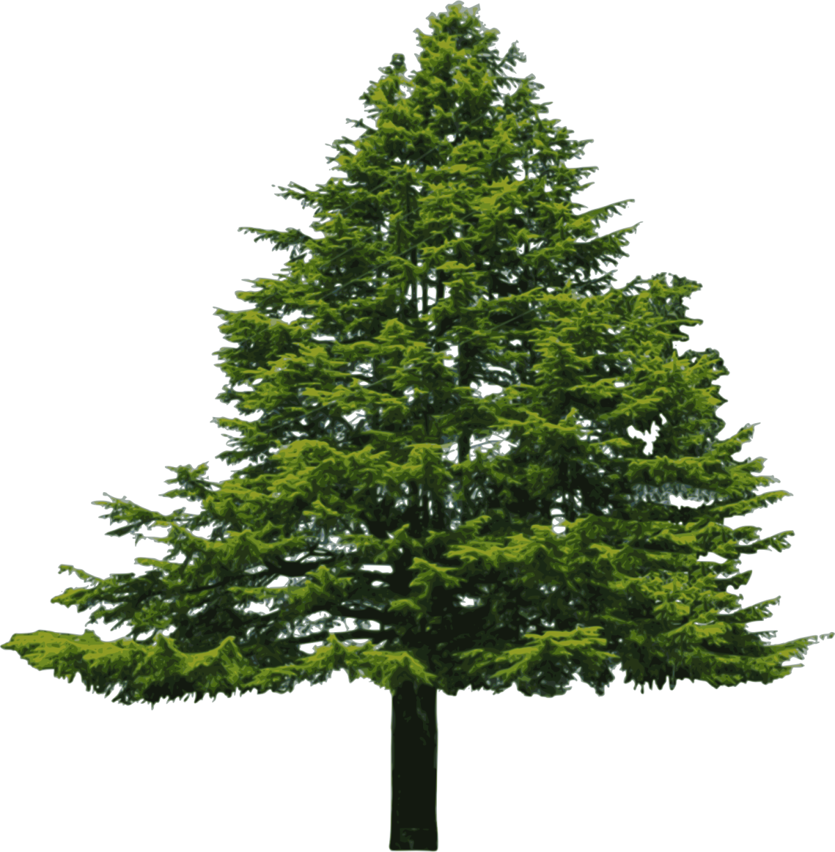 Елочка Новогодняя без игрушек