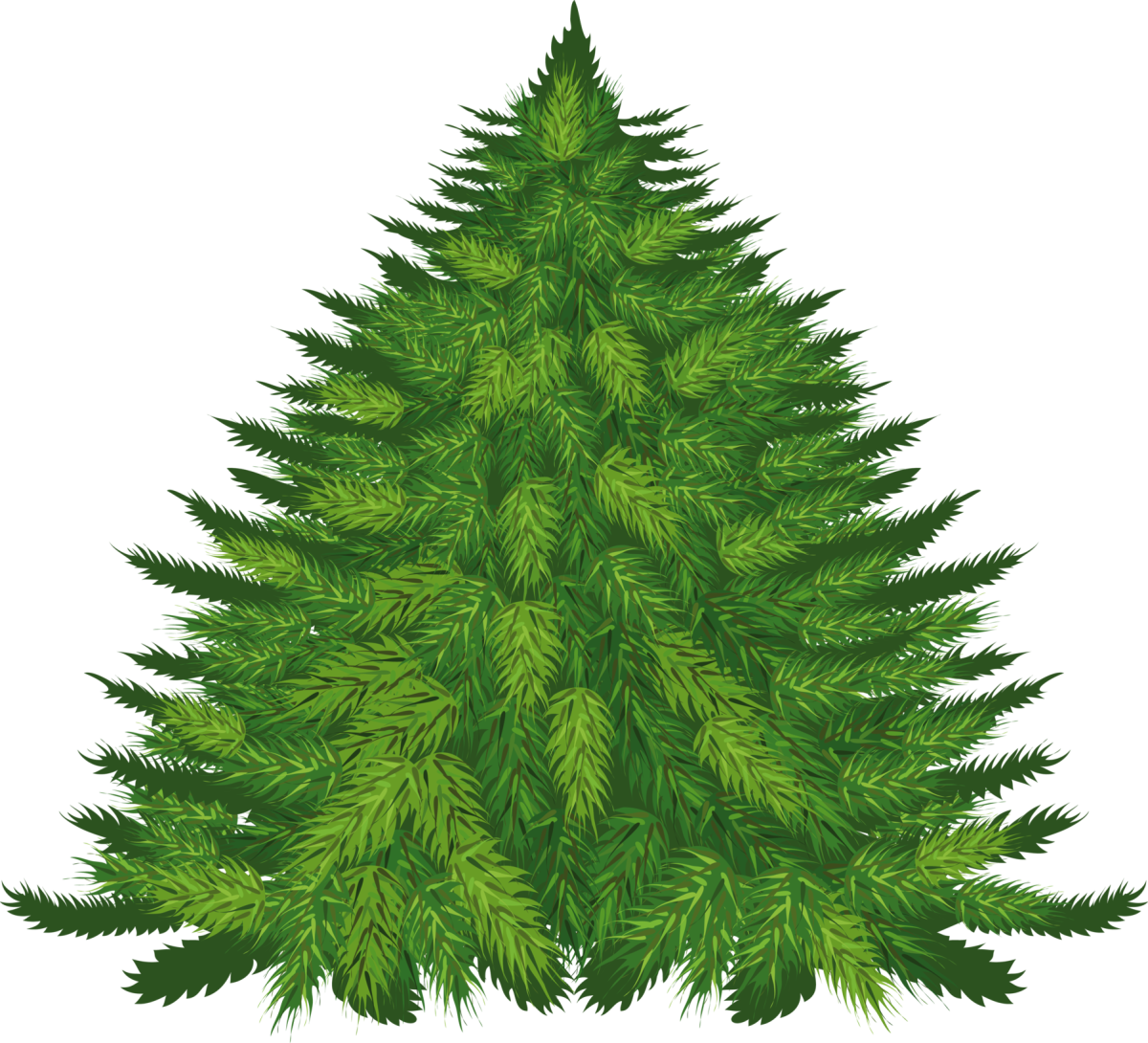 Хвойные деревья на белом фоне