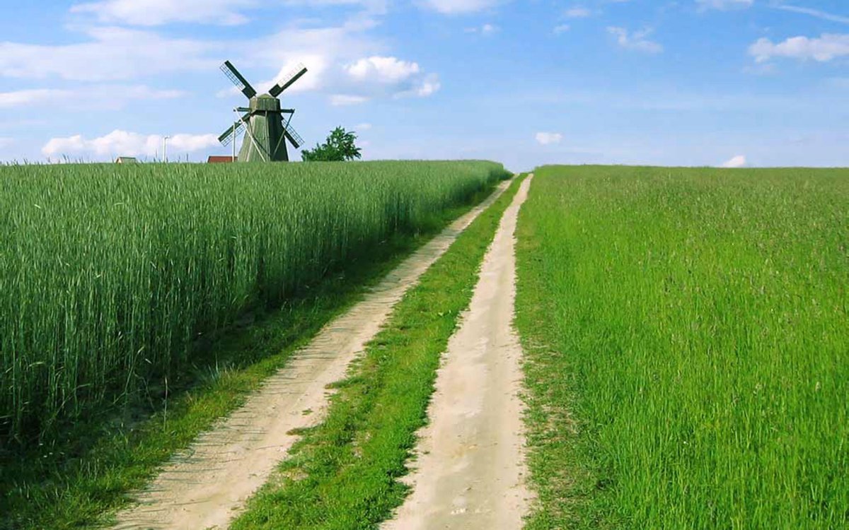 Новогодняя открытка с поездом