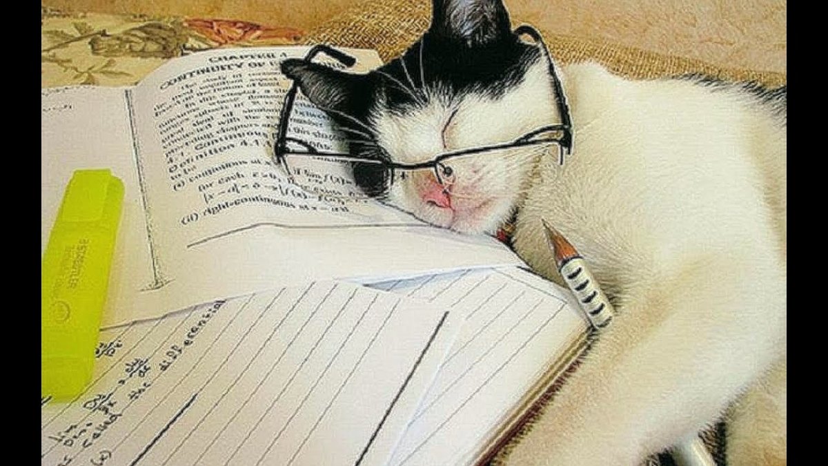 Милые картинки про учебу