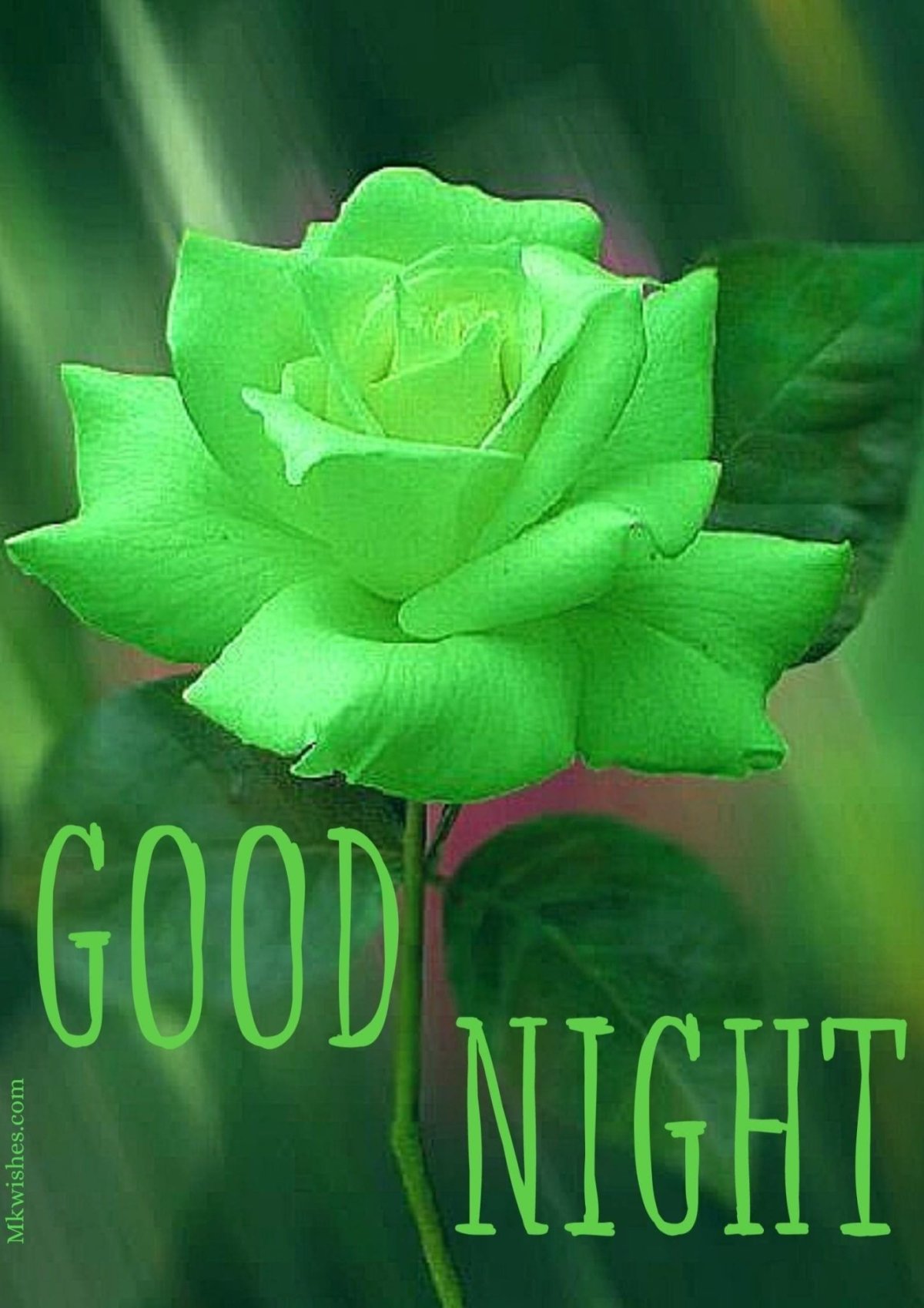 Лаймовые розы