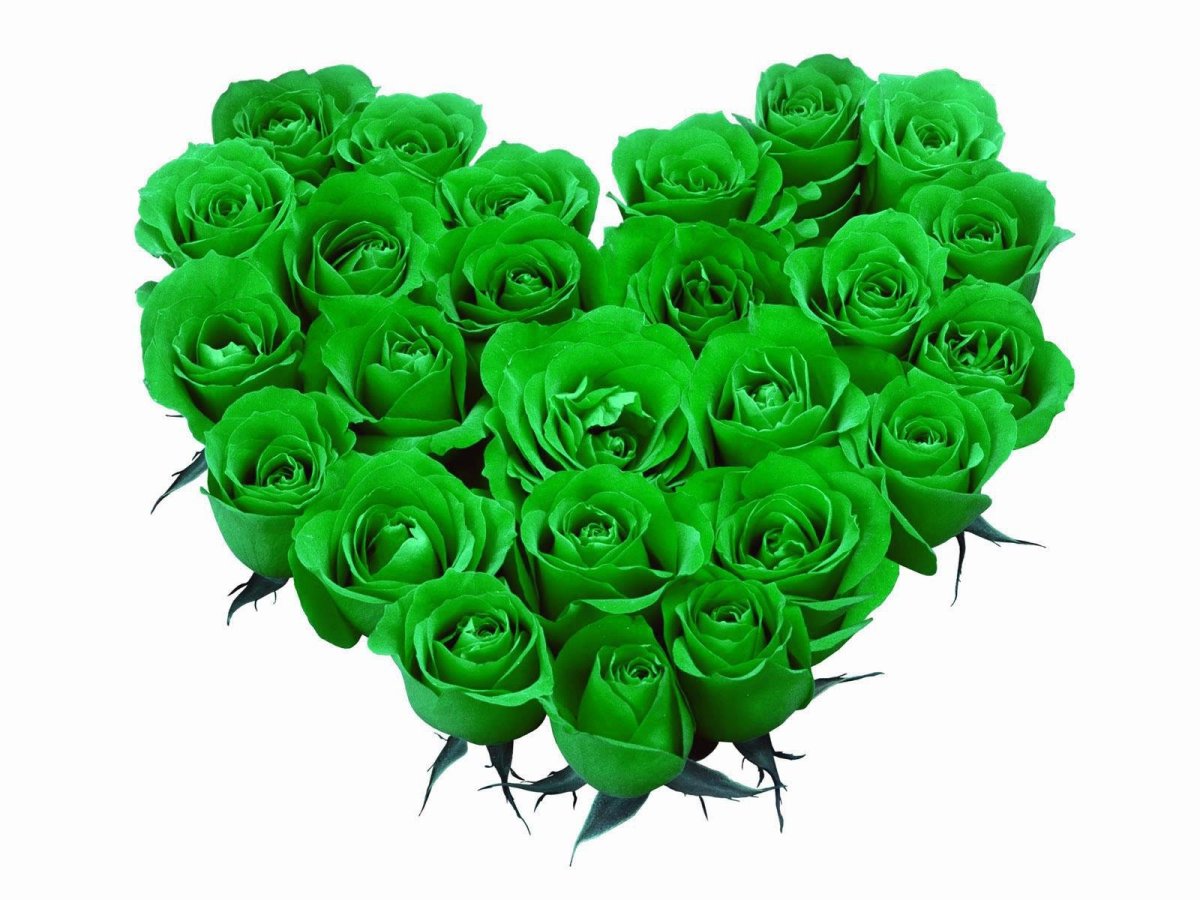 Зеленые цветы