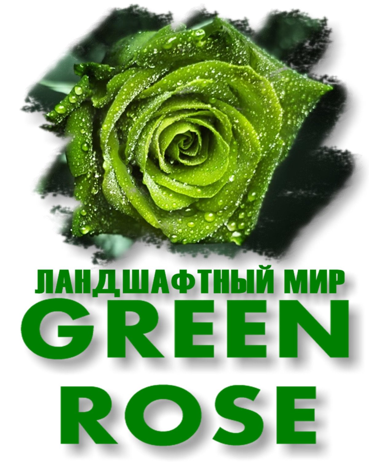 Роза АННАКИРА зеленая