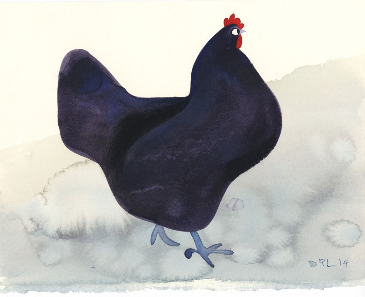 Чёрная курица