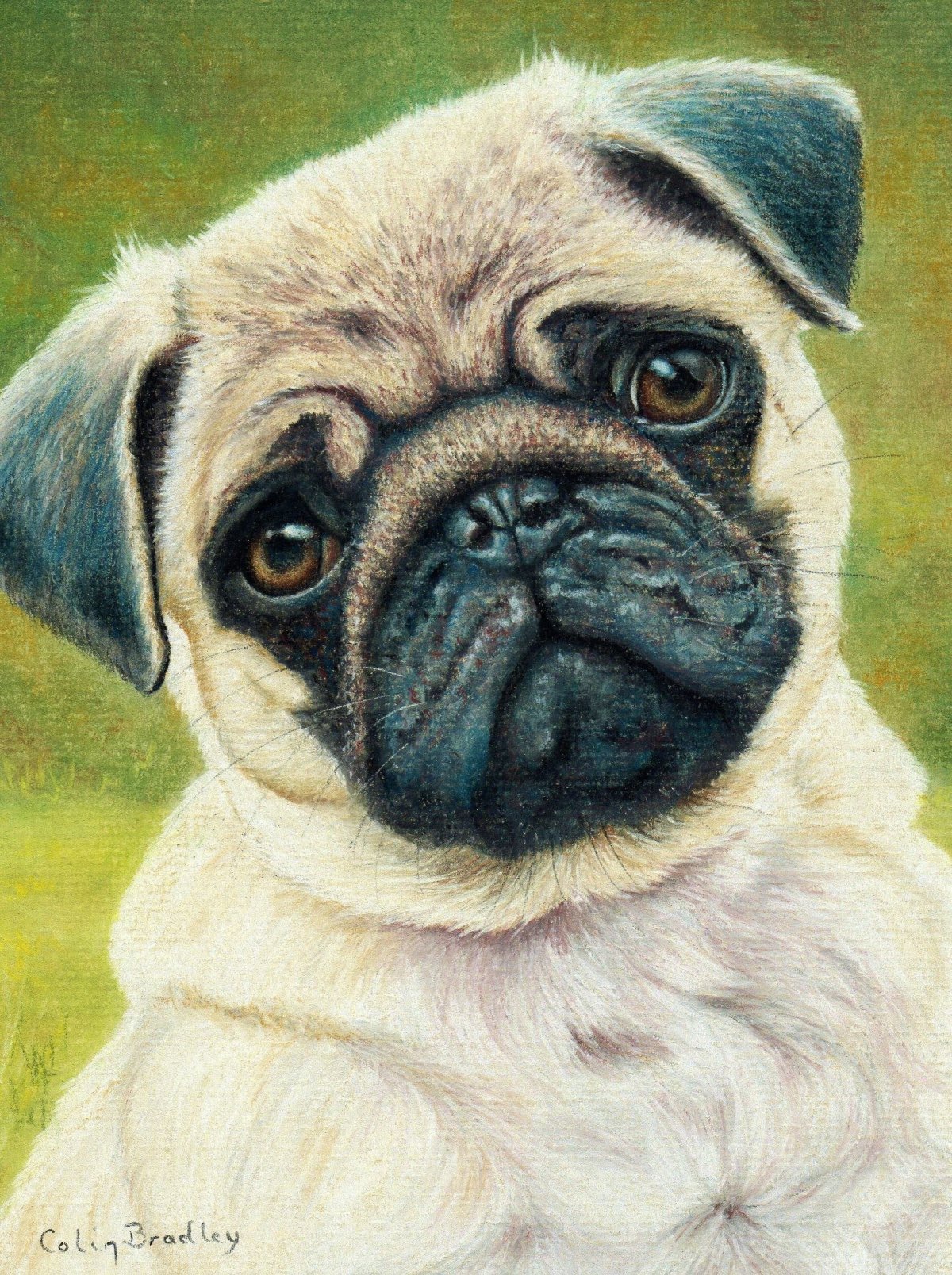 Мультяшные собаки