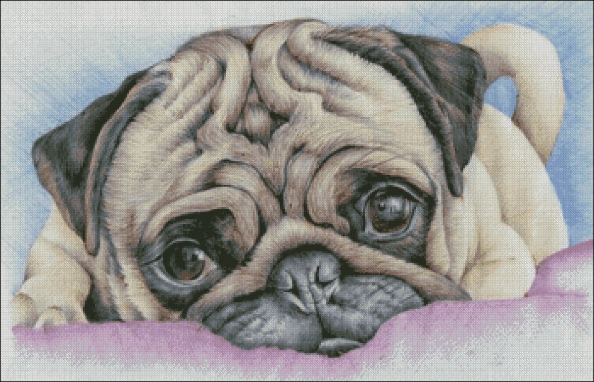 МОПСА обнимают