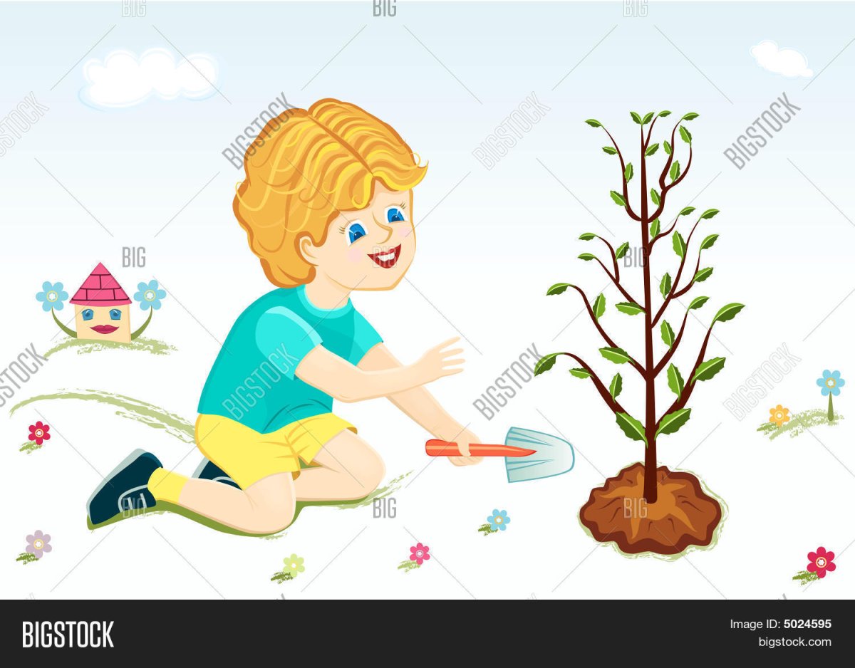 Посадка растений для детей