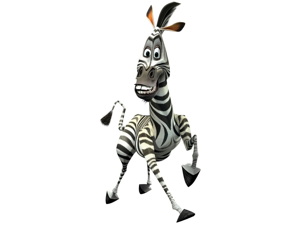 Мадагаскар Зебра Марти