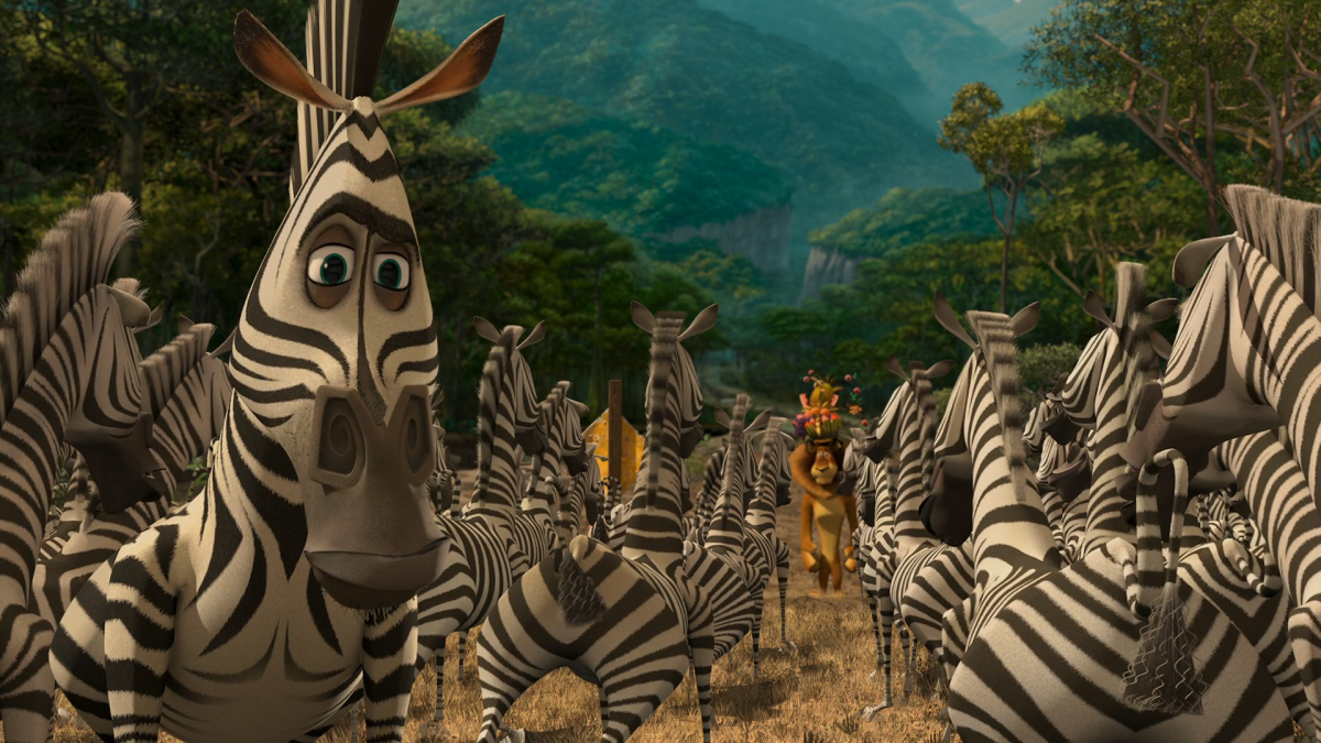 Дахабе Зебра