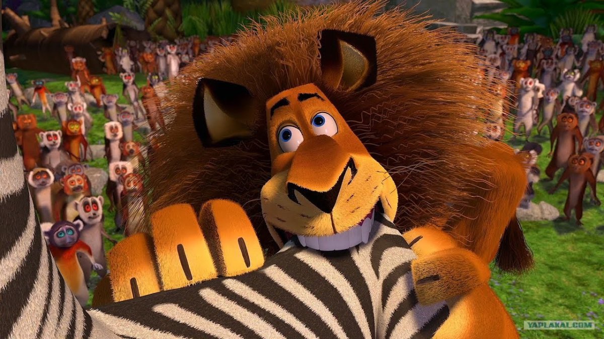 Мадагаскар мультфильм 2005 Зебра
