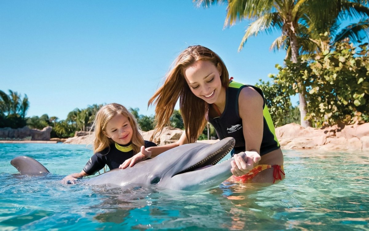 Дельфин с человеком в море