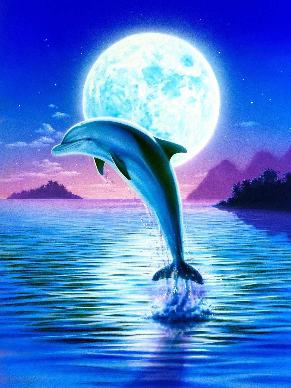 Дельфина размер 300