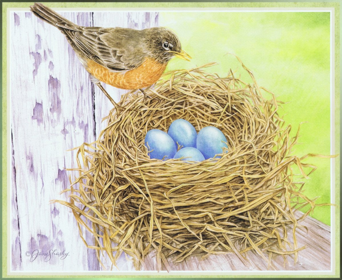 Птички в гнездышках